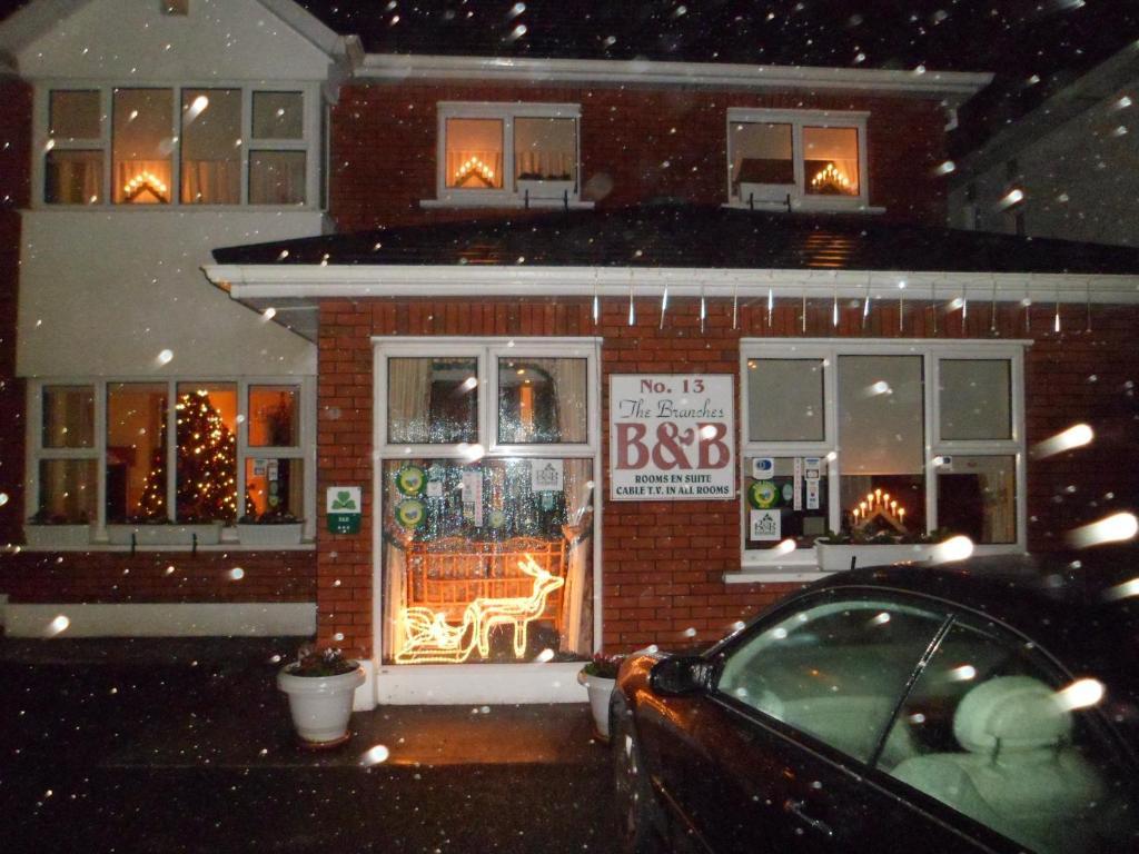 The Branches B&B Galway Eksteriør billede